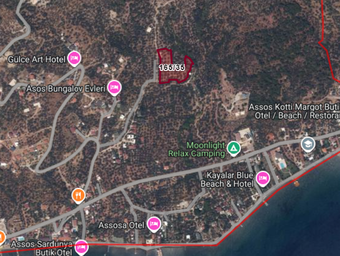 Sazlı Köyü Sahilde Deniz ve Doğa Manzaralı Zeytinlik