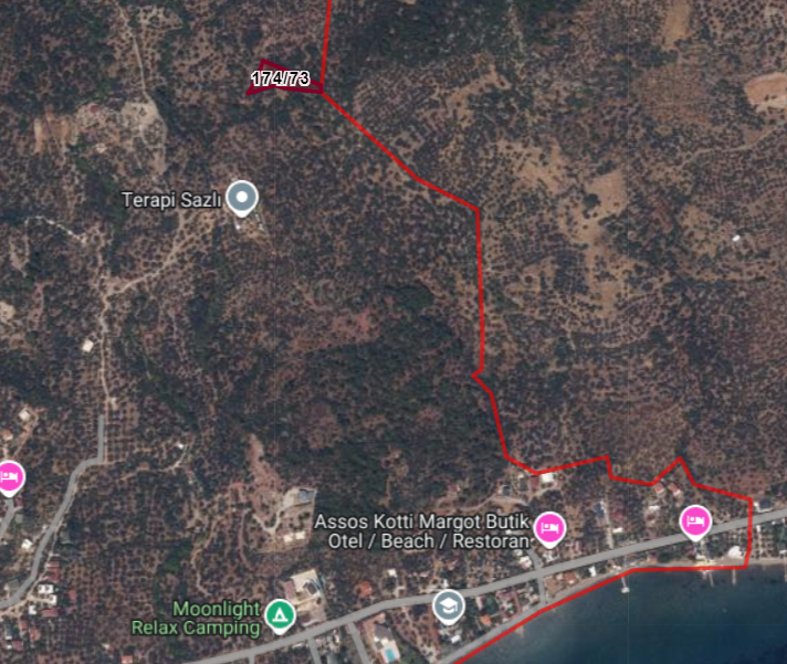 Sazlı Köyünde Satılık Zeytinlik